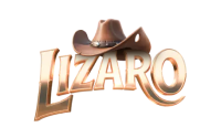 Logo Lizaro
